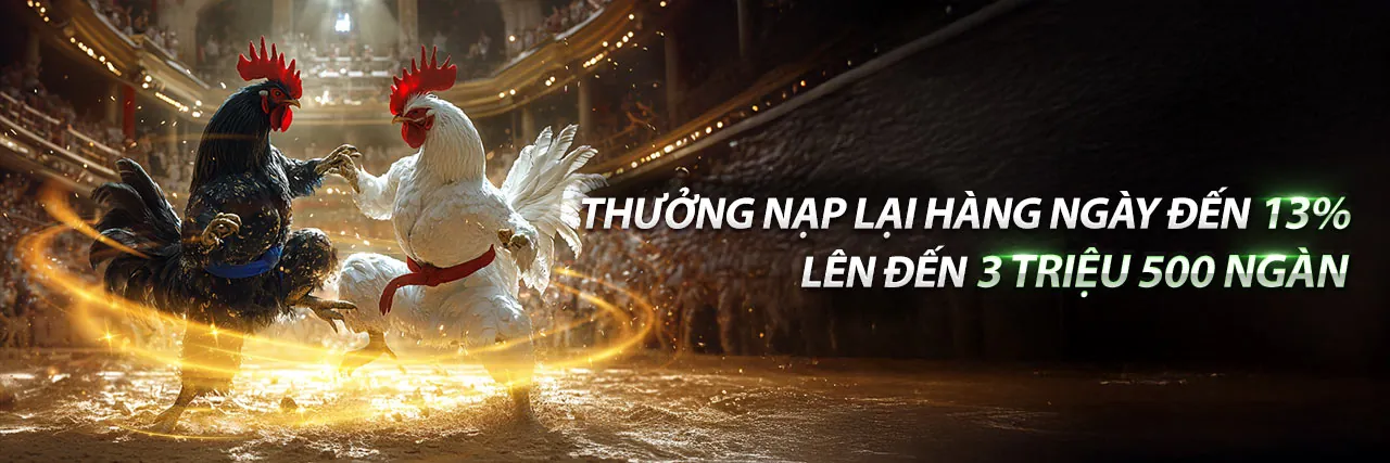 Cảnh tượng đá gà trực tiếp kịch tính tại 999 Bet