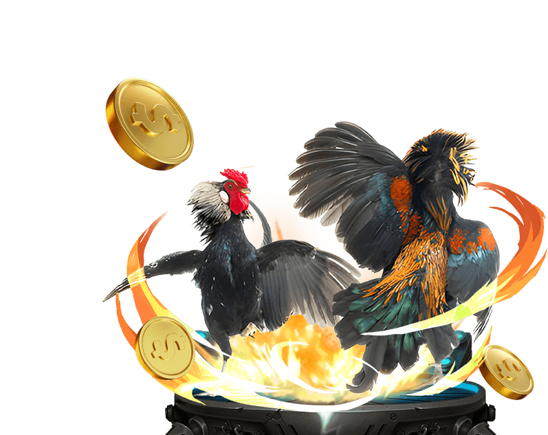 Cá cược các môn thể thao khác tại 999 bet