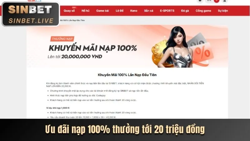 Hình ảnh tổng quan về nền tảng cá cược Sinbet hàng đầu, với logo 999 bet nổi bật và giao diện hiện đại